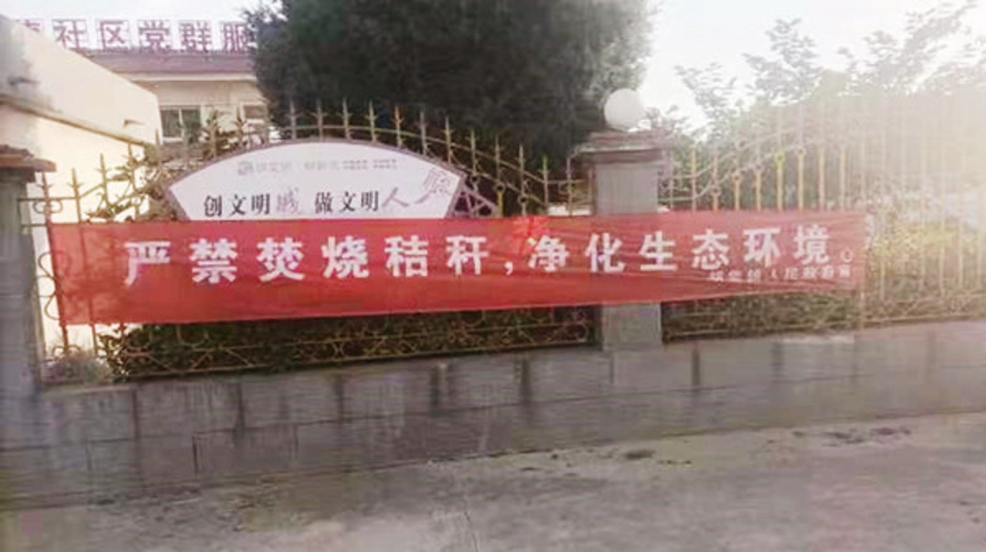 亲和净化工程